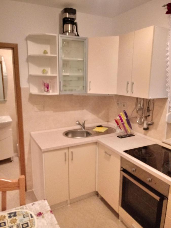 טרוגיר Apartment Elena מראה חיצוני תמונה